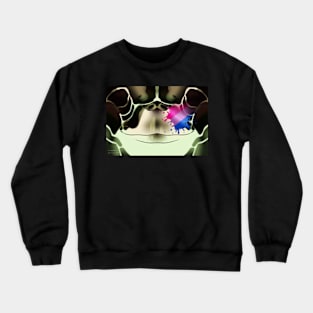 Bisexual Sea Turtle Face Crewneck Sweatshirt